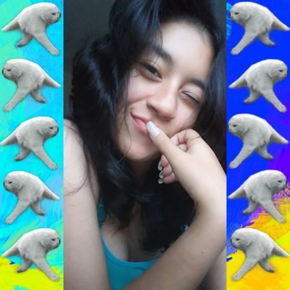 Meet your Posher, Pao